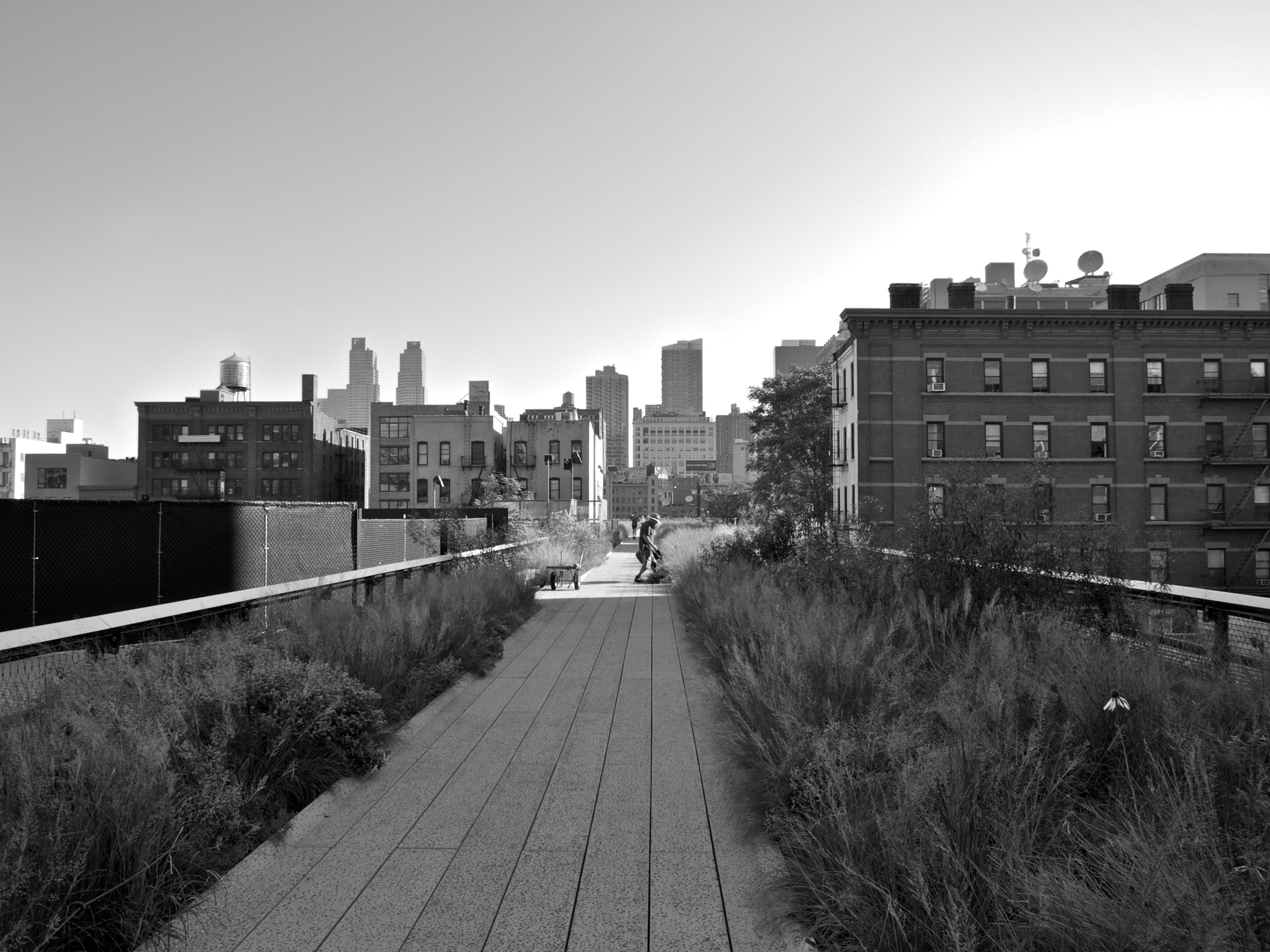 Day 235 - Looking Down The High Line