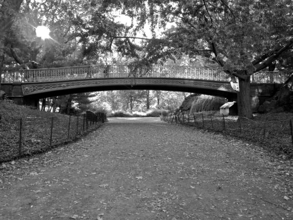 Day 298 - Central Park In Autumn