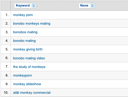 Monkey Search Terms