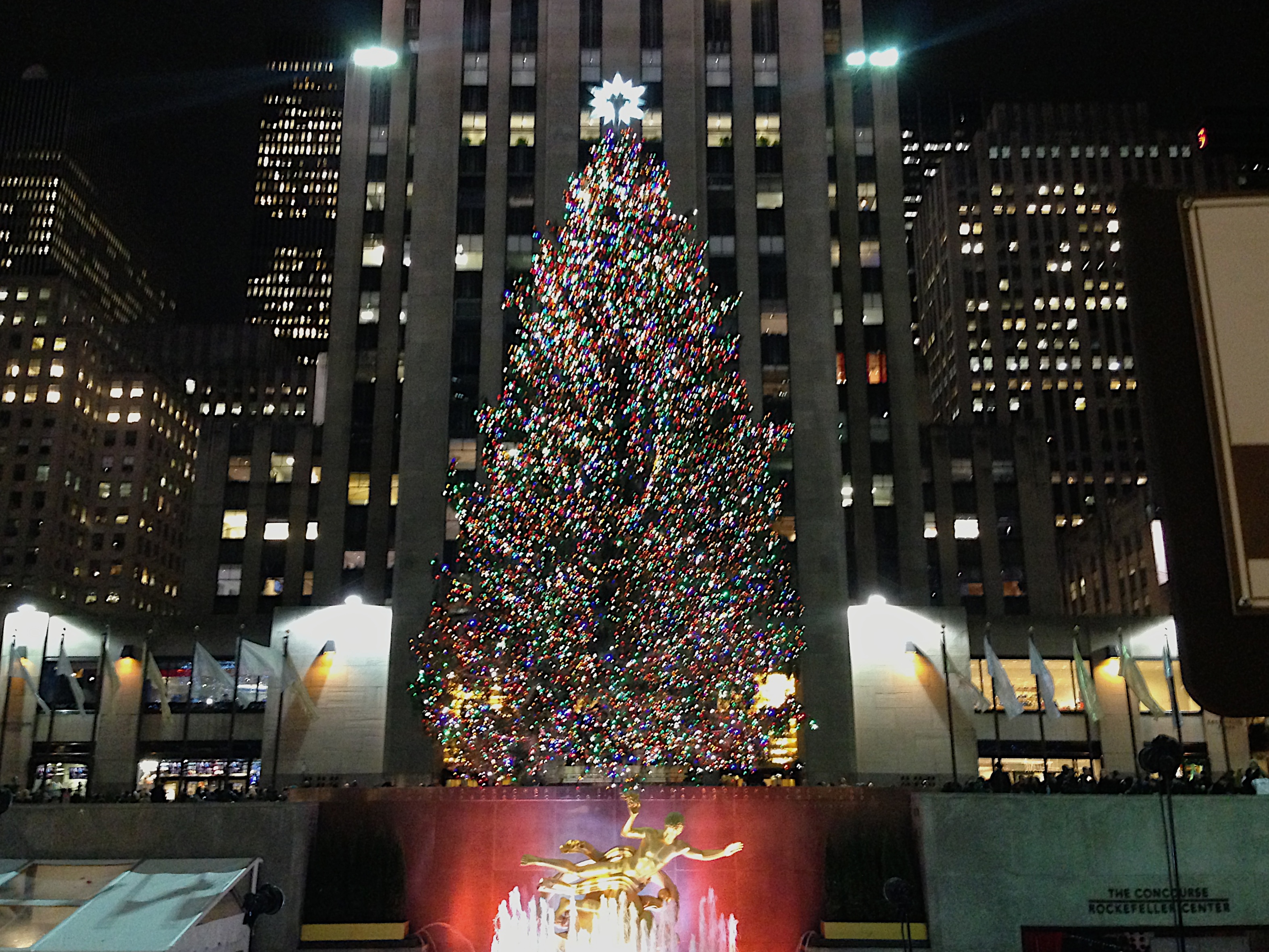 2012 Rockefeller Center Christmas Tree